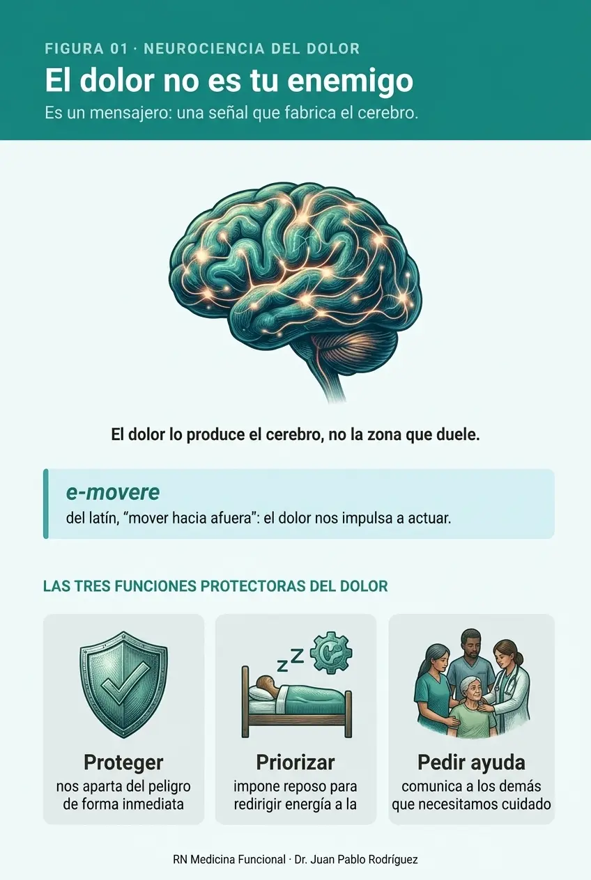 el dolor crónico como señal protectora que produce el cerebro