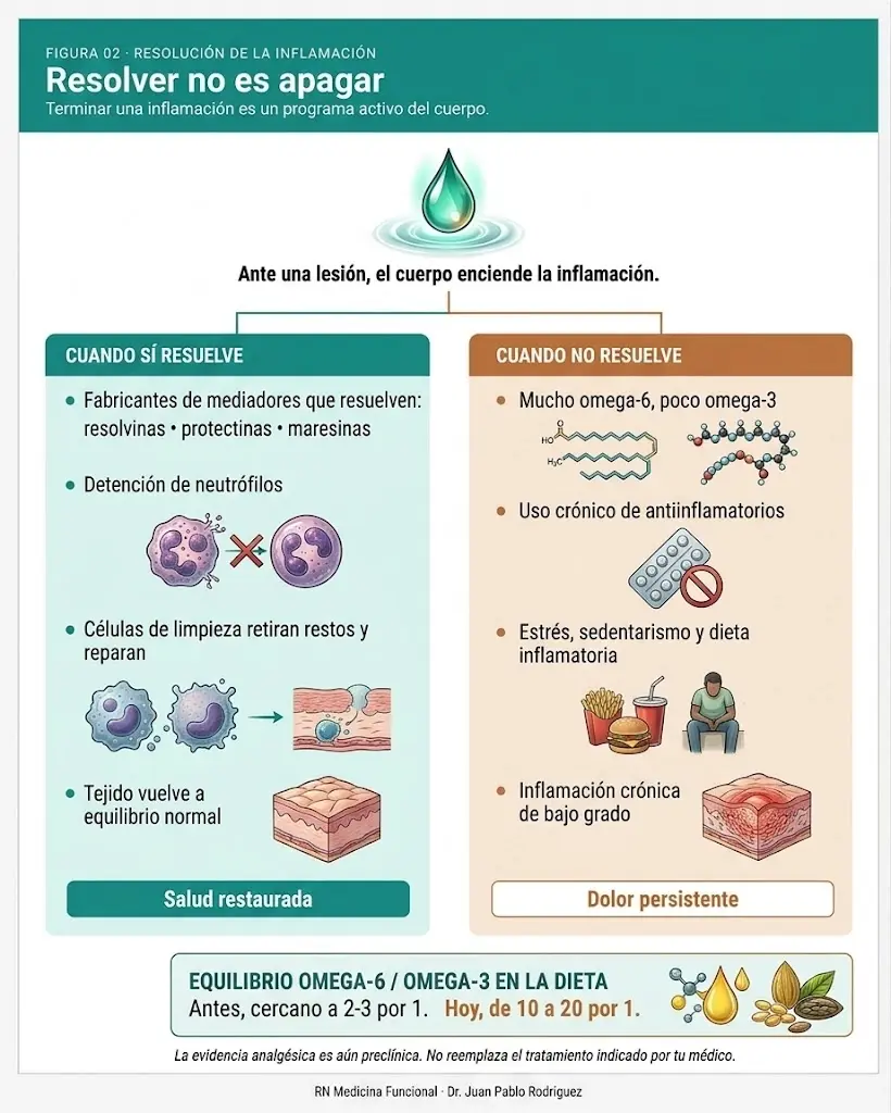 resolución de la inflamación frente a la inflamación crónica en el dolor crónico